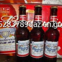 宇佳啤酒 品質(zhì)與創(chuàng)新的完美融合，最新產(chǎn)品展示與創(chuàng)業(yè)商機(jī)解析